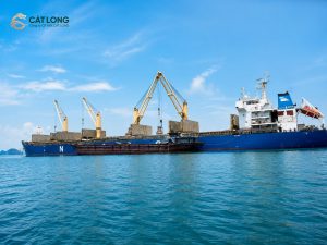 Hình ảnh tàu Quặng APATIT