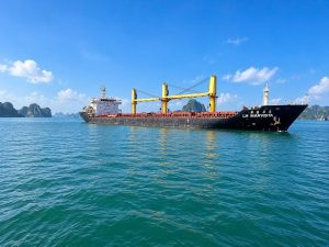 MV LH MARVISTA chở quặng Apatit và lưu huỳnh phục vụ sản xuất phân bón